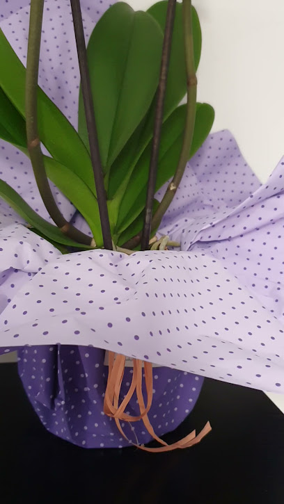 Negocio Axa Oficina Devesa Saval,Antonio