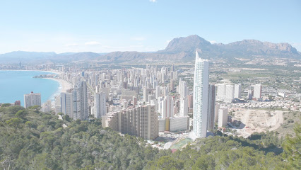 Negocio Correduría De Seguros En Benidorm | Polifani