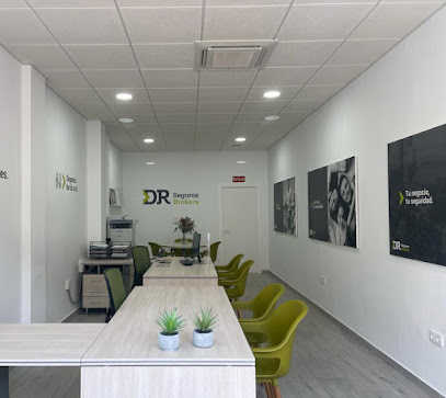 Negocio Dr Seguros Brokers