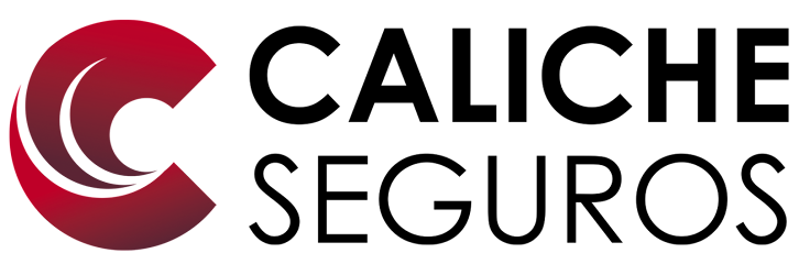 Negocio Seguros Caliche